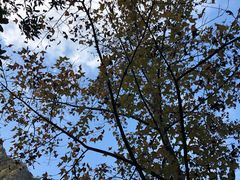 -楠溪江风景名胜区