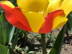 -长春公园(普阳街道)