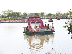 -荷兰花海
