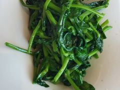 清炒豌豆尖-辣婆婆(航天桥店)