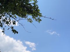 -终南山南五台景区