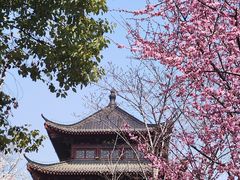 -堤角公园