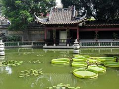 -碧江金楼