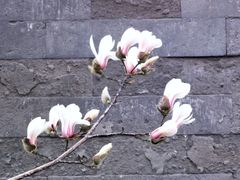 -东华门大街小区