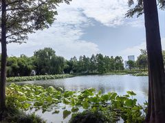 -金银湖国家城市湿地公园