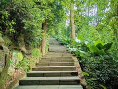 -火炉山森林公园