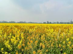 -中国天府农业博览园