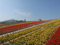 花山-东部华侨城