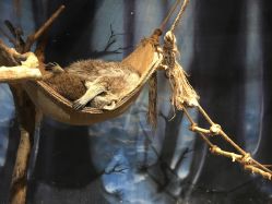 -酷嗒动物文化乐园(cutezoo西溪乐天城店)