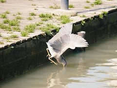 -苏州河梦清园环保主题公园