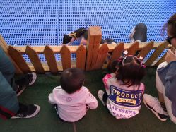 -萌宠亲子动物乐园(槐房万达店)