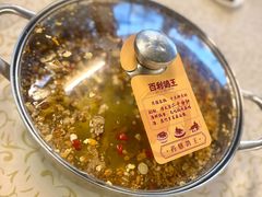 -百利鸽王(紫薇路店)