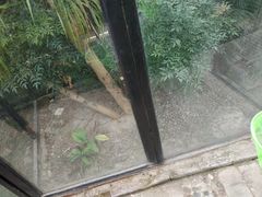 -白洋淀景区