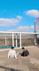 点击看大图 -季高兔窝窝亲子园(上海薰衣草公园店)