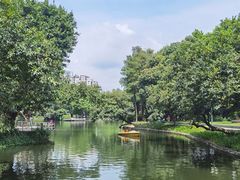 -晓港公园