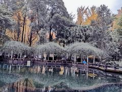 -温江公园