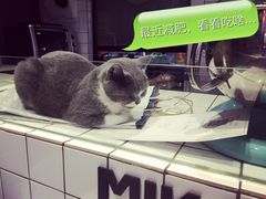 -MIKAKU(万达广场上海宝山店)