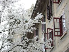 -武汉大学-樱园