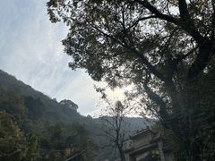 -普照寺