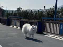 -东钱湖旅游度假区