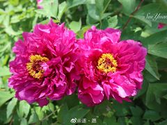 -青岛国学公园