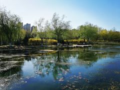-前关湿地公园