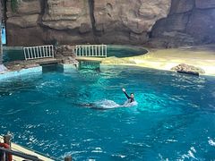 -杭州长乔极地海洋公园