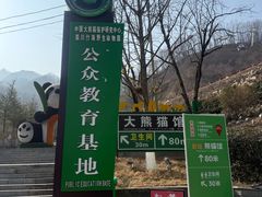 -栾川竹海野生动物园