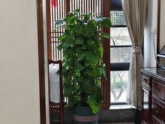 -茶港食堂(武昌店)