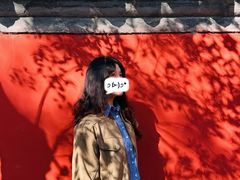 -北京国子监胡同