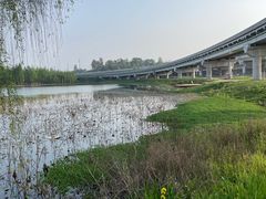 -白鹭湾湿地公园