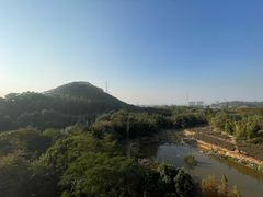 -美的鹭湖森林度假区
