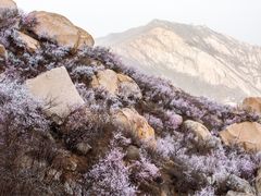 -北京凤凰岭