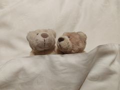 -天津津利华酒店