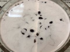 -仁信老铺(北滘店)