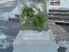 -长春公园(普阳街道)