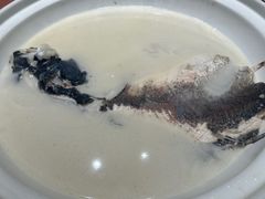 久宴天目湖牌鱼头汤-久宴·天目湖大鱼头(恐龙园店)