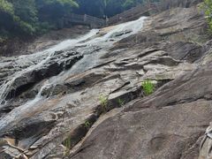 -广州白江湖森林公园