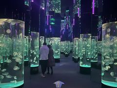 -成都浩海立方海洋公园