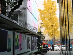 -奎星楼街