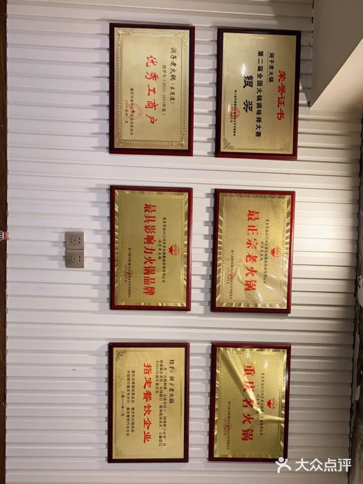 洞子老火锅(青年路店)图片