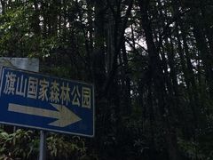 -旗山国家森林公园