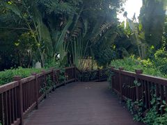 -金鸡岭桥头公园