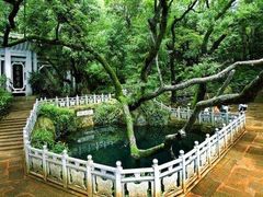 -蝴蝶泉公园