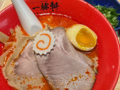 -一豚轩·烧鸟·豚骨拉面(五四路店)