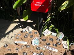 -大象粑粑造纸公园