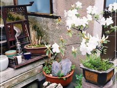-邊城書店