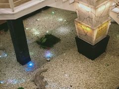 -宝燕海鲜(好爱店)