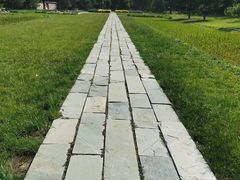 -北坞公园