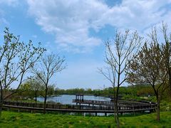 -羊亭河湿地公园